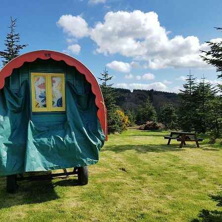 Clissmann Horse Caravans Glamping Rathdrum Ngoại thất bức ảnh