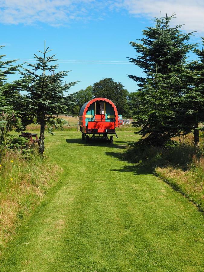 Clissmann Horse Caravans Glamping Rathdrum Ngoại thất bức ảnh