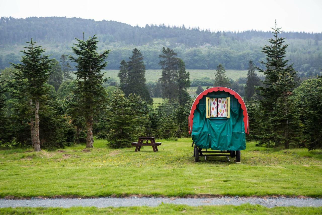 Clissmann Horse Caravans Glamping Rathdrum Ngoại thất bức ảnh