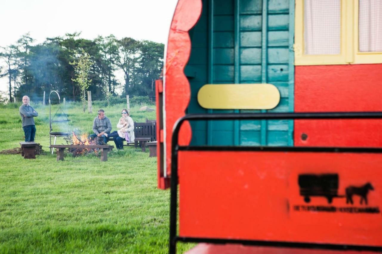 Clissmann Horse Caravans Glamping Rathdrum Ngoại thất bức ảnh